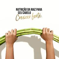 Condicionador Pantene Bambu Nutre e Cresce 250ml - 6