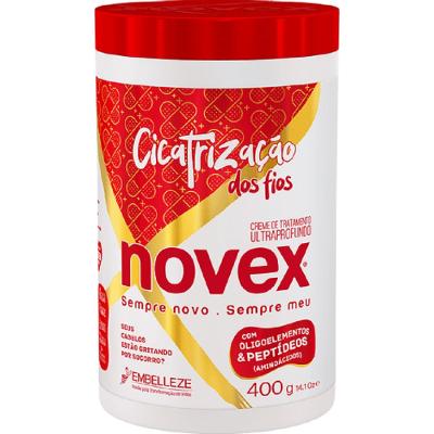 Creme Tratamento Novex Cicatrização dos Fios 400g
