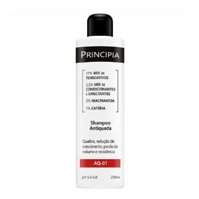 Shampoo Antiqueda Principia AQ-01 250ml