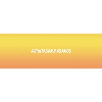 Shampoo Seda Cachos Definidos 325ml - 5