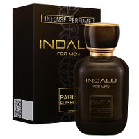 Perfume Indalo Paris Elysees Masculino 100ml - 1