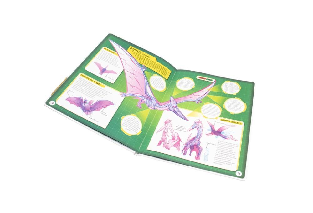 Desvende Fatos! Segredos dos Dinossauros - Happy Books - 3