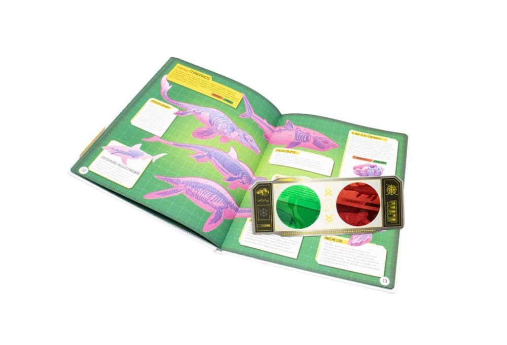 Desvende Fatos! Segredos dos Dinossauros - Happy Books - 4