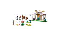 LEGO - Friends - Treinamento de Cavalos - 41746 - 2