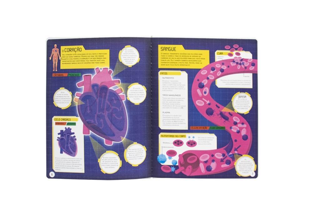 Desvende Fatos! Segredos do Corpo Humano - Happy Books - 2