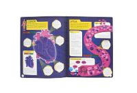 Desvende Fatos! Segredos do Corpo Humano - Happy Books - 2