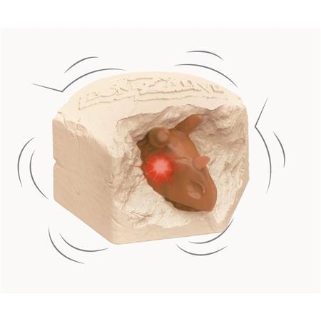 Bonezalive - Estrela - 2