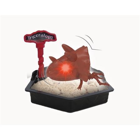 Bonezalive - Estrela - 3