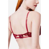 Sutiã Aro Sem Bojo Renda Sigrid - 2