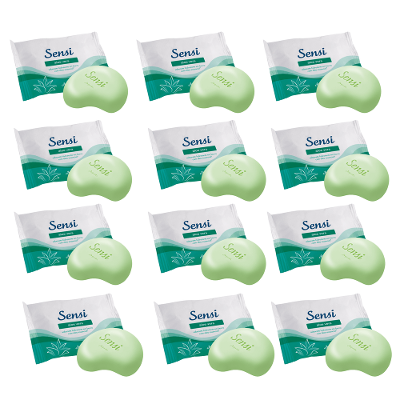 Kit 12 Sabonetes Hidratantes Em Barra Sensi Aloe Vera 80G