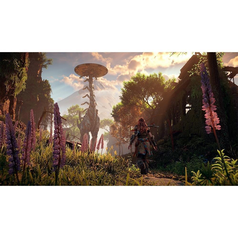 Jogo Horizon Zero Dawn Remastered, PS5 - 3005776 - 4