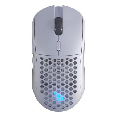 Mouse Sem Fio Gamer Fallen Pantera PRO Wireless, 26000 DPI, RGB, 68,70g, Branco - MO-FN-PA-PRO-WL-BR