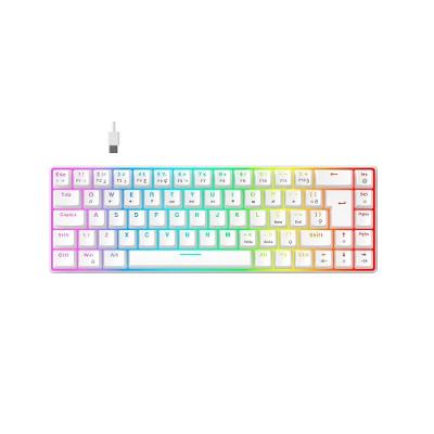 Teclado Mecânico Gamer Hyrax Thunder Pro, Switch Huano Marrom, RGB, Layout 65% USB-C, ABNT2, Branco - HCK65W-BROWN-RGB