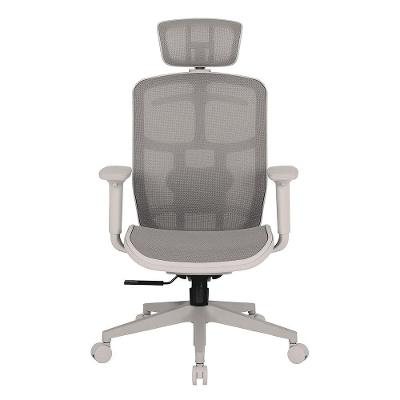 Cadeira de Escritório Ergonômica DT3 Diana, Até 100Kg, Cilindro Classe 4, Cinza Frame ? 14589-7