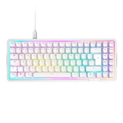 Teclado Magnético Gamer Sem Fio NZXT Function Elite MiniTKL, RGB, USB-C Removível, KB-101NW-US