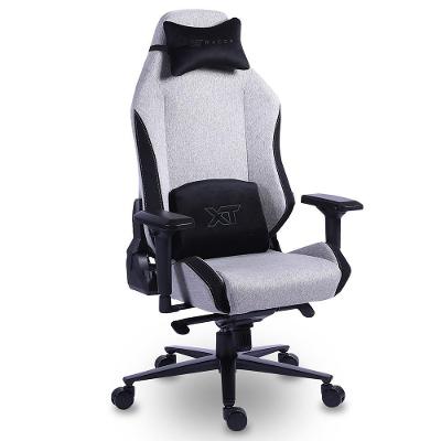 Cadeira Gamer XT Racer Draco NR17, Até 120kg, Com Almofadas, Reclinável, Descanso de Braço 4D, Preto e Cinza - XTR-065