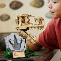 LEGO® Jurassic World - Fósseis de dinossauros: crânio de T.Rex - 5