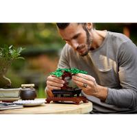 LEGO® Creator Expert - Árvore Bonsai - 10