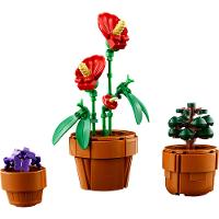 LEGO® Icons - Plantinhas - 3