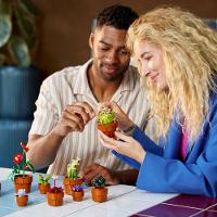 LEGO® Icons - Plantinhas - 5