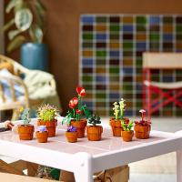 LEGO® Icons - Plantinhas - 6