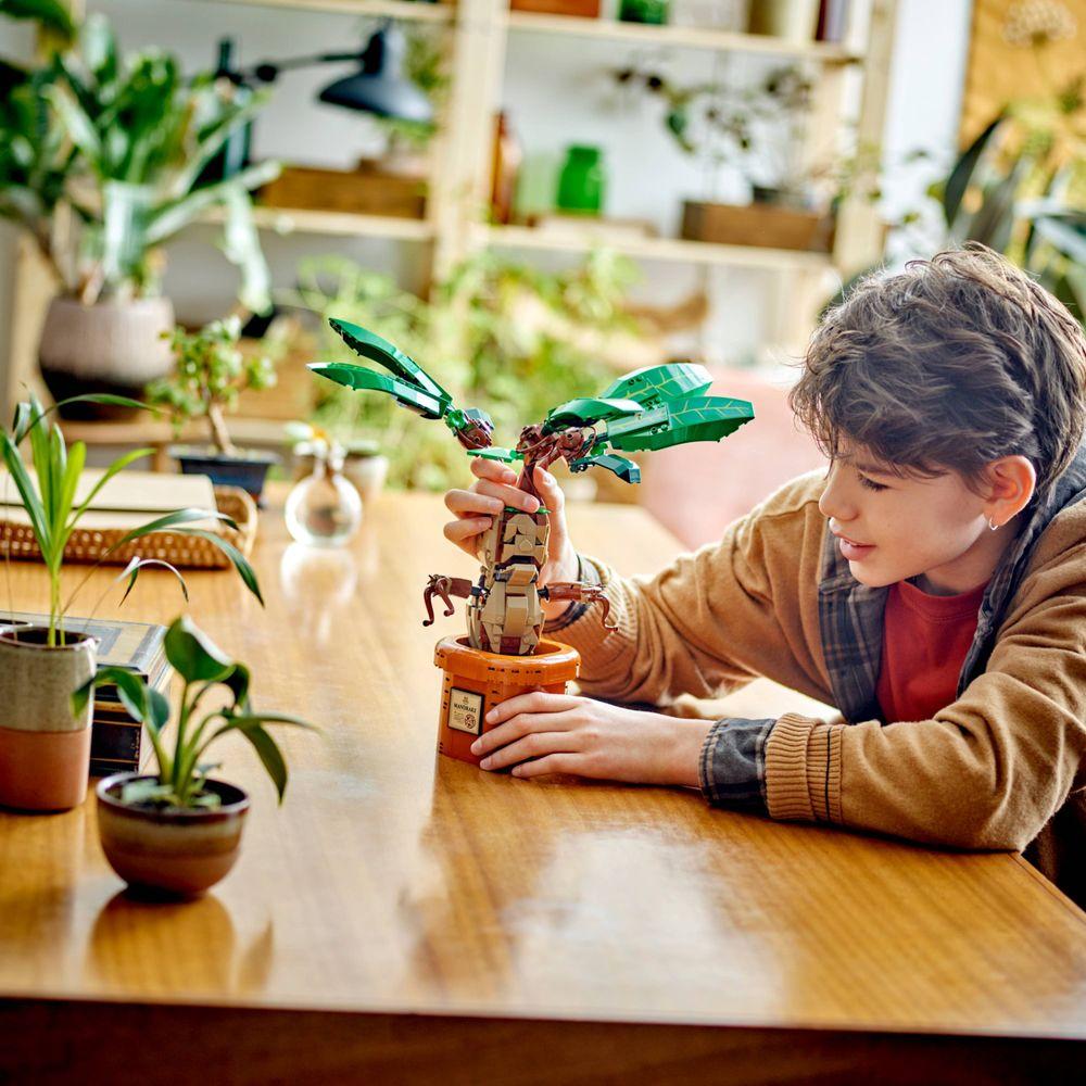 LEGO® Harry Potter™ - Mandrágora - 5