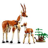LEGO® Creator 3 em 1 - Animais Selvagens do Safari - 5