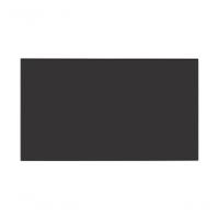 Módulo OLED TV LG EAJ65808901 OLED48C2PSA - 1