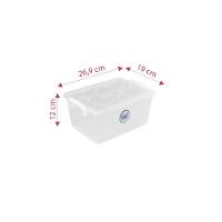 Caixa Organizadora Plástica com Trava e Alça Cristal 4L Bel Ordene - 2