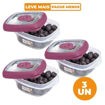 Kit 3 Potes Plásticos Quadrados Herméticos Açaí 280ml Flor Sanremo