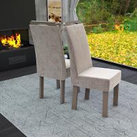 Kit 2 Cadeiras Talismã New Nevada Madeira de Eucalipto - 1