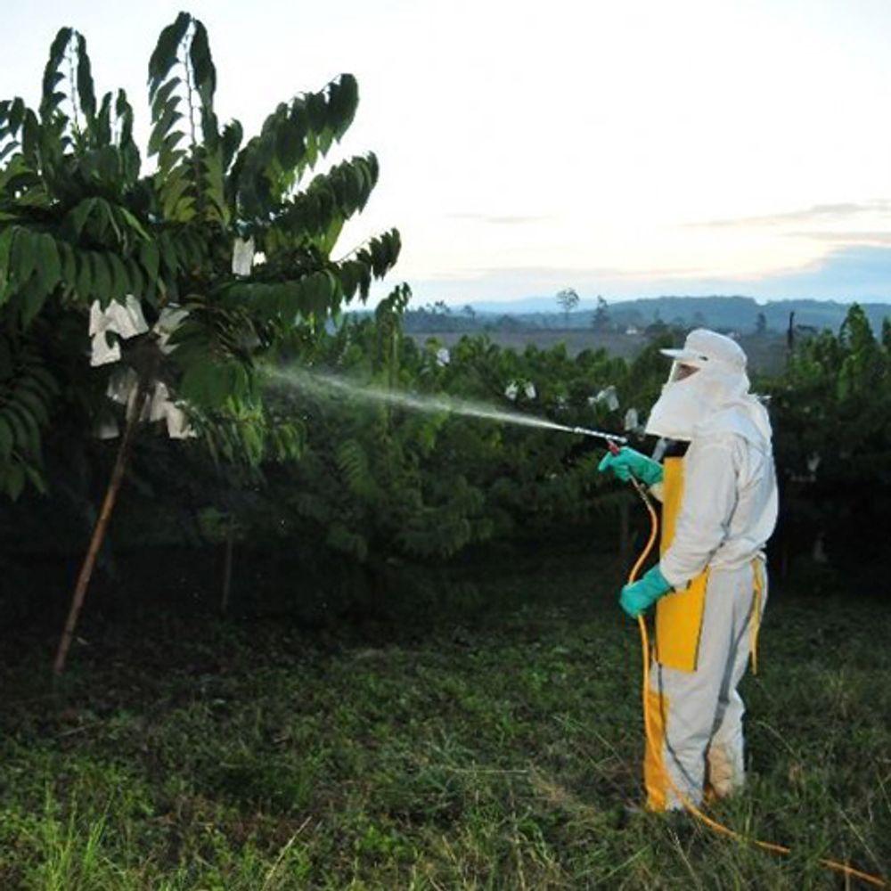 Pistola de Pulverização de 20 cm sem Gatilho - Yamaho - 3