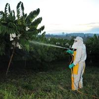 Pistola de Pulverização de 20 cm sem Gatilho - Yamaho - 3
