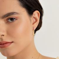 Argola Figa com Zircônias em Prata 925 com Banho de Ouro Amarelo 18k