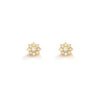 Brinco com Diamantes em Ouro Amarelo 18k - 1