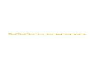 Pulseira Malha Cartier em Ouro Amarelo 18k - 21 cm - 1