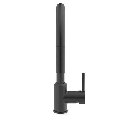 Torneira Monocomando Cozinha Celite Pratica Pt Mt B5002f5r00