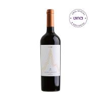 Vinho Apice Cabernet Sauvignon 2021 (Viña del Triunfo) 750ml - 1
