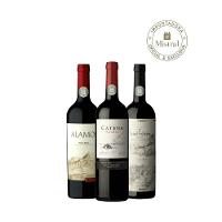 Kit 3 Malbecs Argentinos Caixa 3 Und - 1