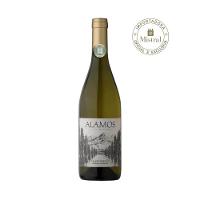 Vinho Alamos Chardonnay 2024 (Alamos) 750ml - 3