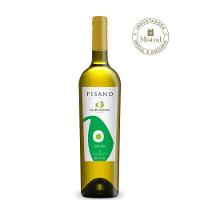 Vinho Cisplatino Torrontés 2023 (Pisano) 750ml - 1