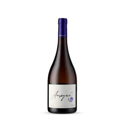 Amayna Chardonnay 2022 (Garcés Silva Family Vineyards - Amayna, Boya) 750ml