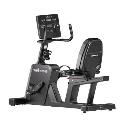 Bike Horizontal RB9000 Wellness - GY116