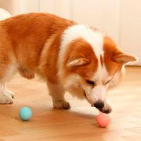 Bola Giratória Inteligente Brinquedo PET Recarregavel USB - 4