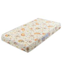 Colchão Infantil Espuma D18 10cmx60cmx130cm Nana Nenê Umaflex - 1