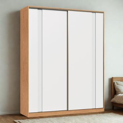 Guarda Roupa Casal 2 Portas de Correr em MDF Conde