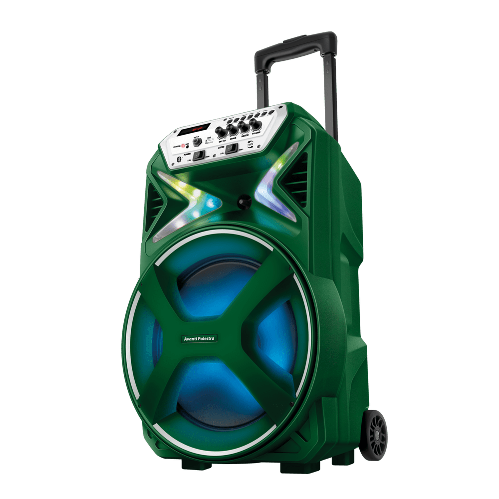 Caixa Amplificada Palmeiras CMPA-01 - 1