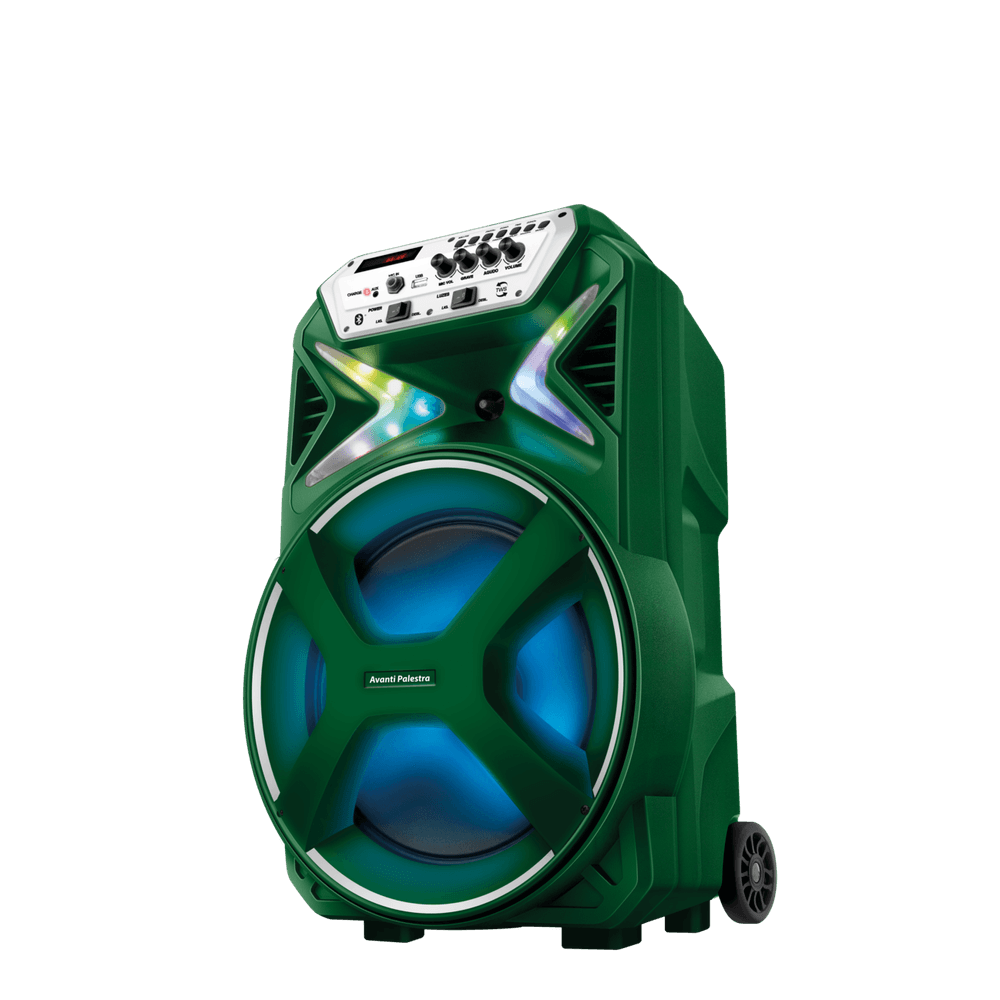 Caixa Amplificada Palmeiras CMPA-01 - 2
