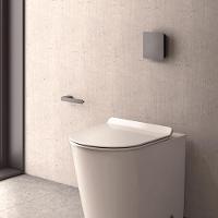 Acabamento Valvula Descarga Docol Flat Grafite Esc. 00931770 - 2