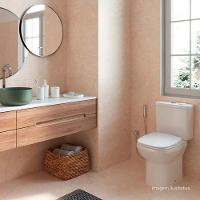 Assento Sanitário Slow Close Deca Flex Branco Ap.385.17 - 2